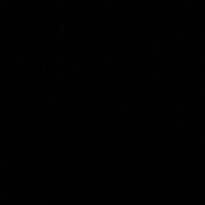 Meet your Posher, Bailey